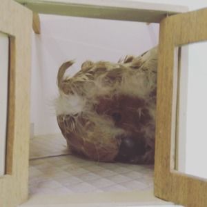 Meet your Posher, Matthew